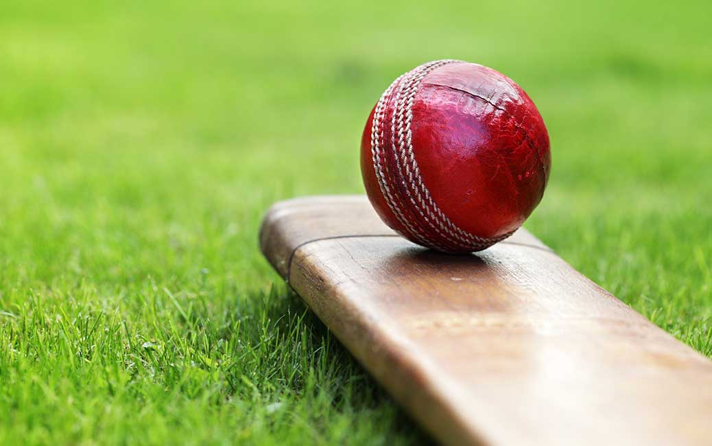 Godrej Arden cricket practice ground