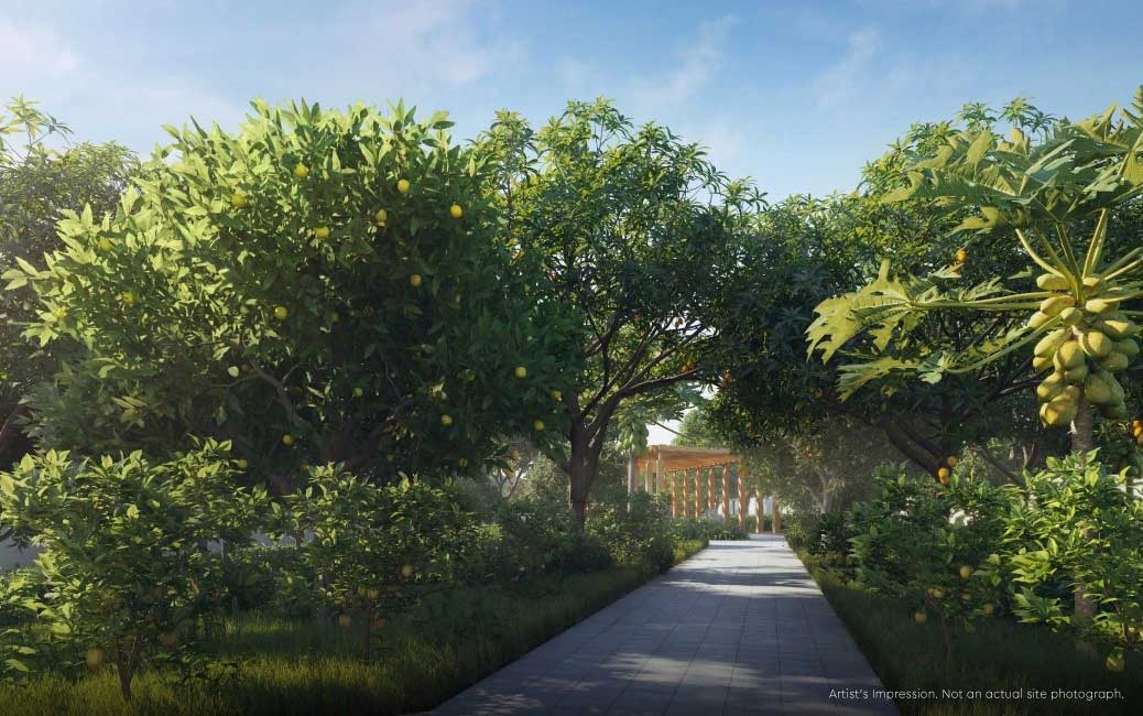 Godrej Arden organic fruit orchard